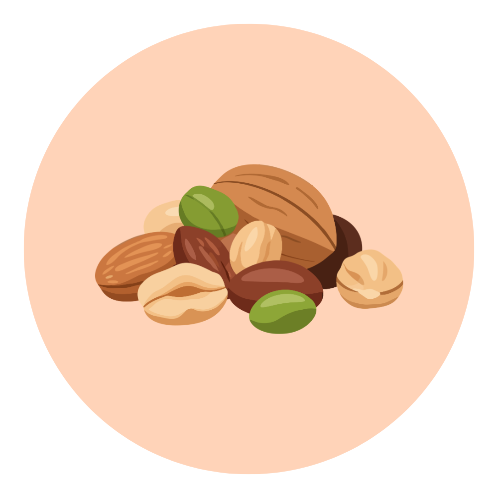 Chocolat Artisanal Nice